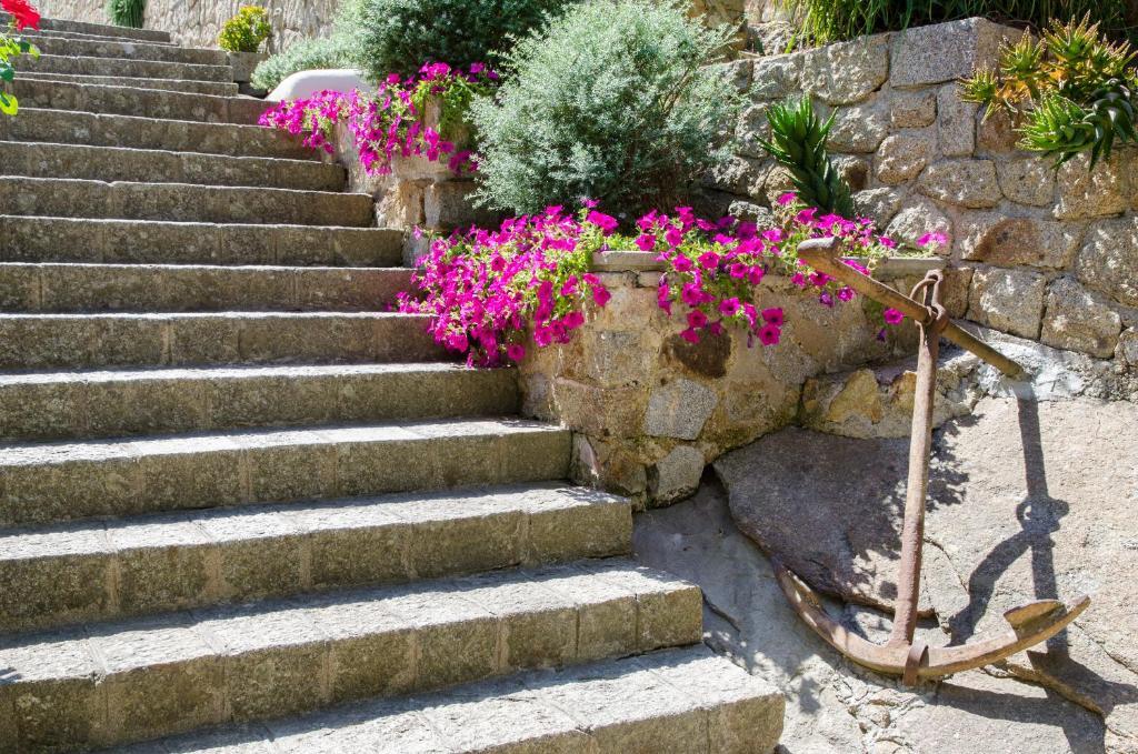 Arenella